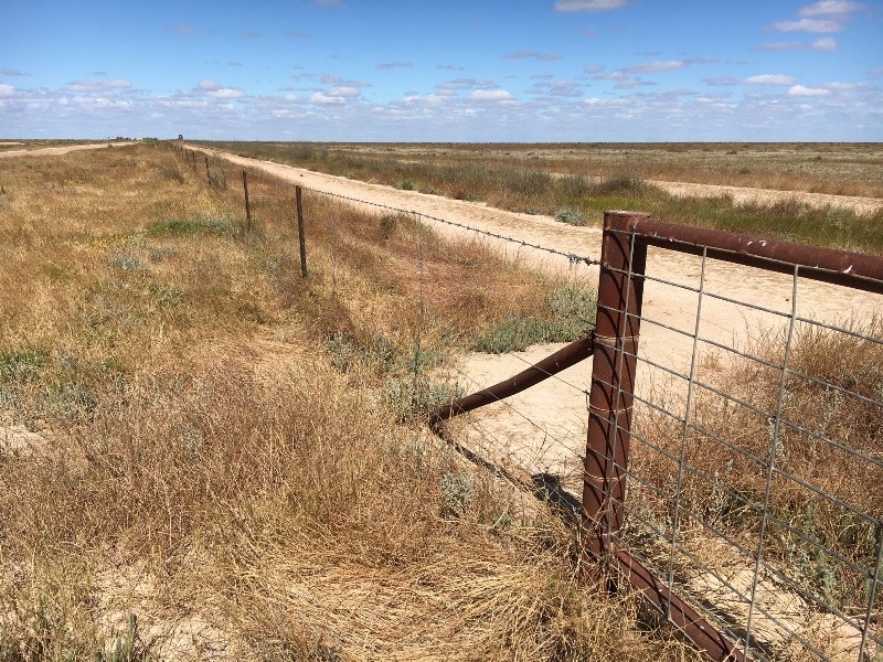Hay NSW 2711