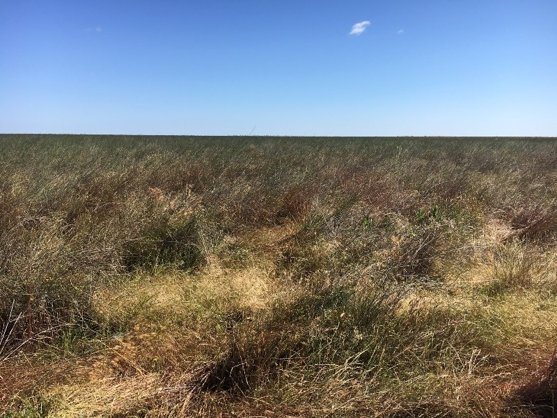 Hay NSW 2711