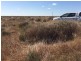Hay NSW 2711