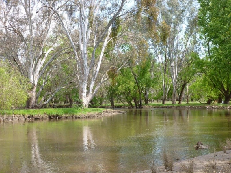 226 Pollards Road, Bonegilla VIC 3691