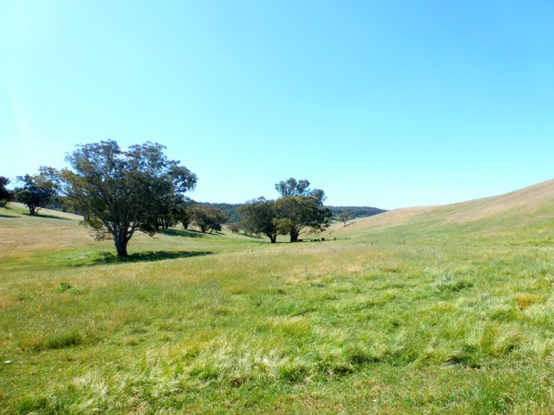 437 Karoopa Lane, Crowther NSW 2803