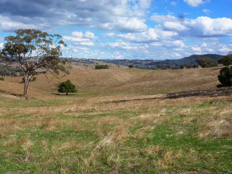 437 Karoopa Lane, Crowther NSW 2803