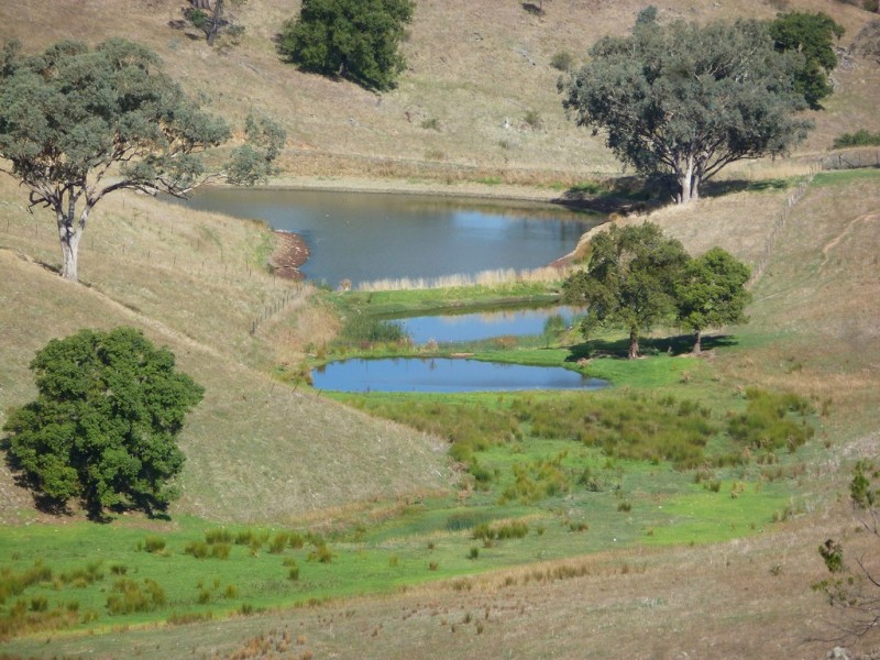 437 Karoopa Lane, Crowther NSW 2803