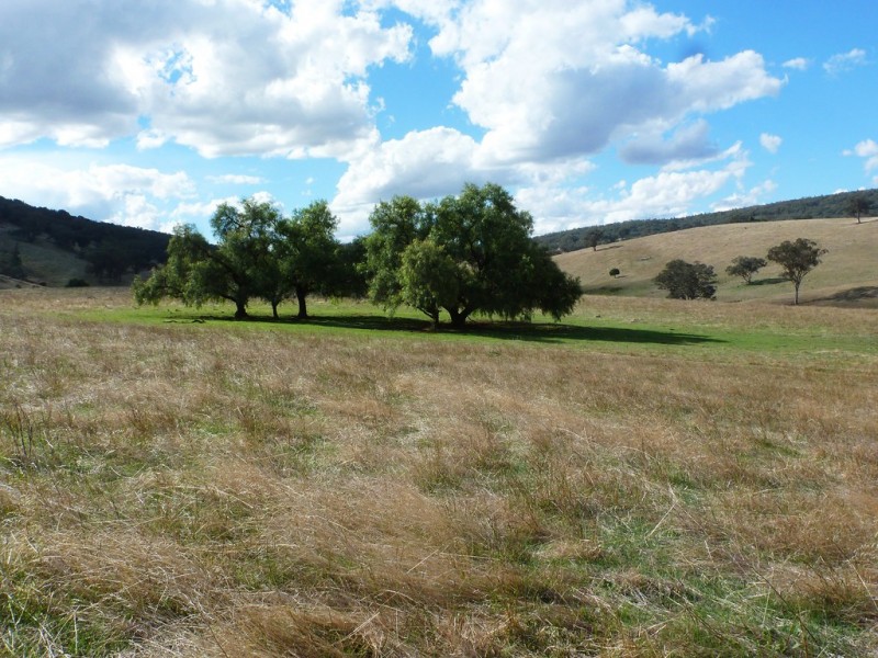 437 Karoopa Lane, Crowther NSW 2803