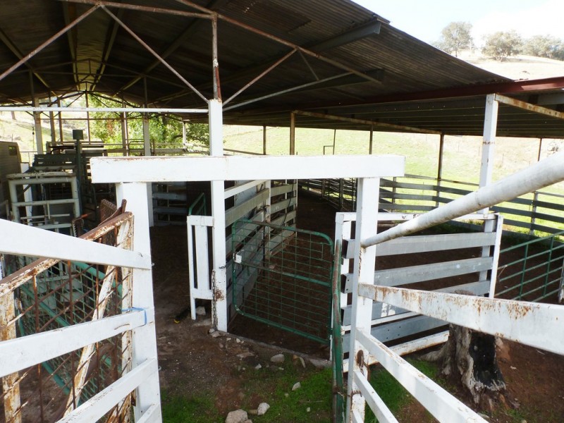 437 Karoopa Lane, Crowther NSW 2803