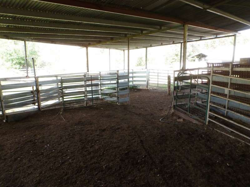 437 Karoopa Lane, Crowther NSW 2803