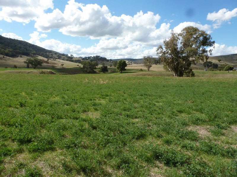 437 Karoopa Lane, Crowther NSW 2803