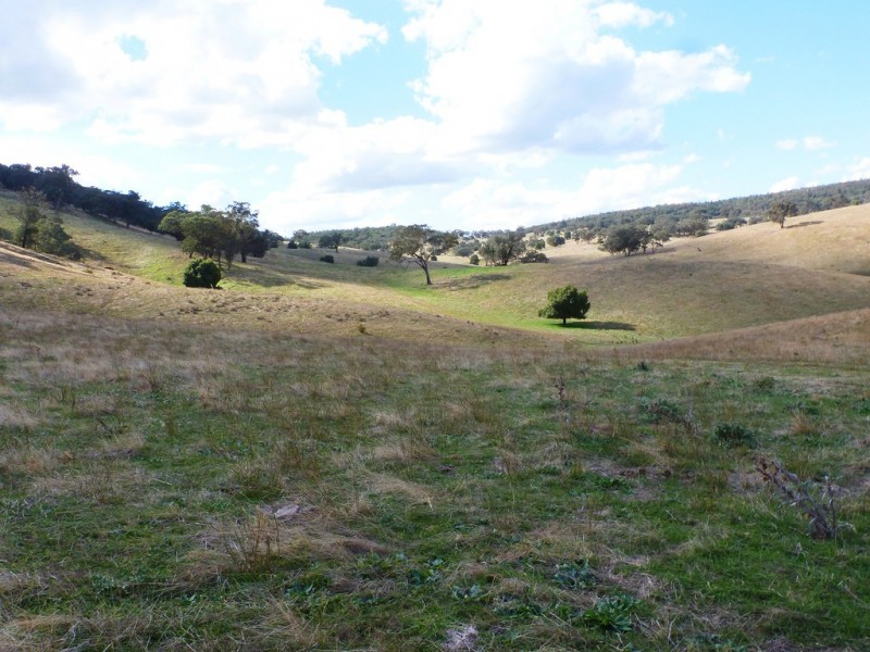 437 Karoopa Lane, Crowther NSW 2803