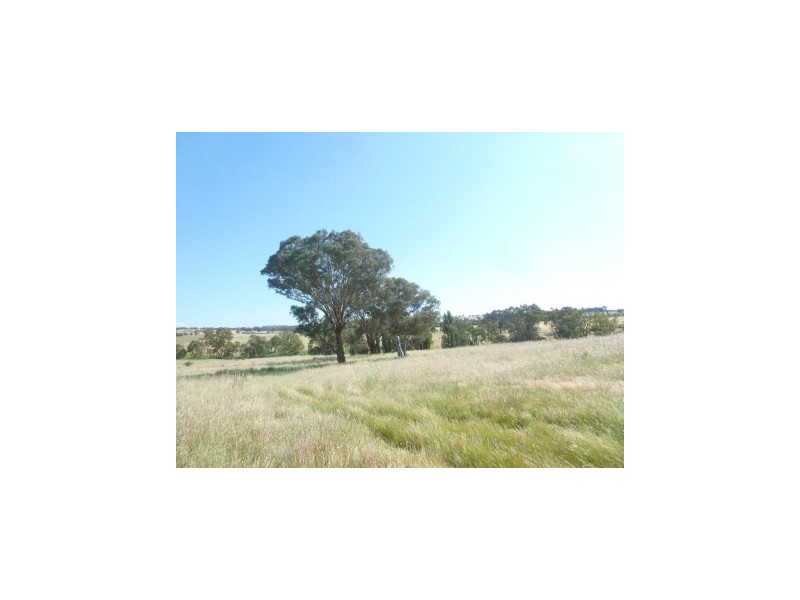 102 Brial Road, Boorowa NSW 2586