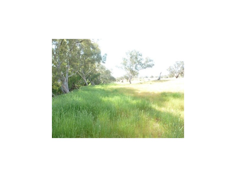 102 Brial Road, Boorowa NSW 2586