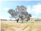 102 Brial Road, Boorowa NSW 2586