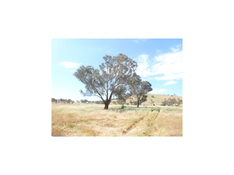 102 Brial Road, Boorowa NSW 2586