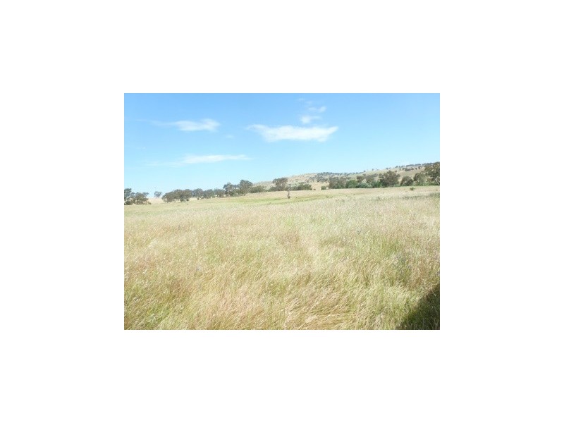 102 Brial Road, Boorowa NSW 2586