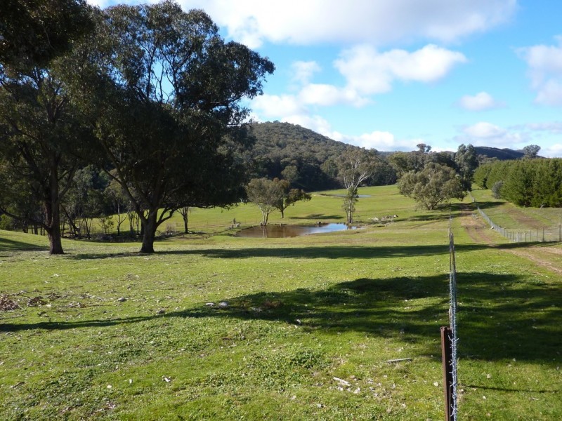 764 Linsells Road,, Humula NSW 2652