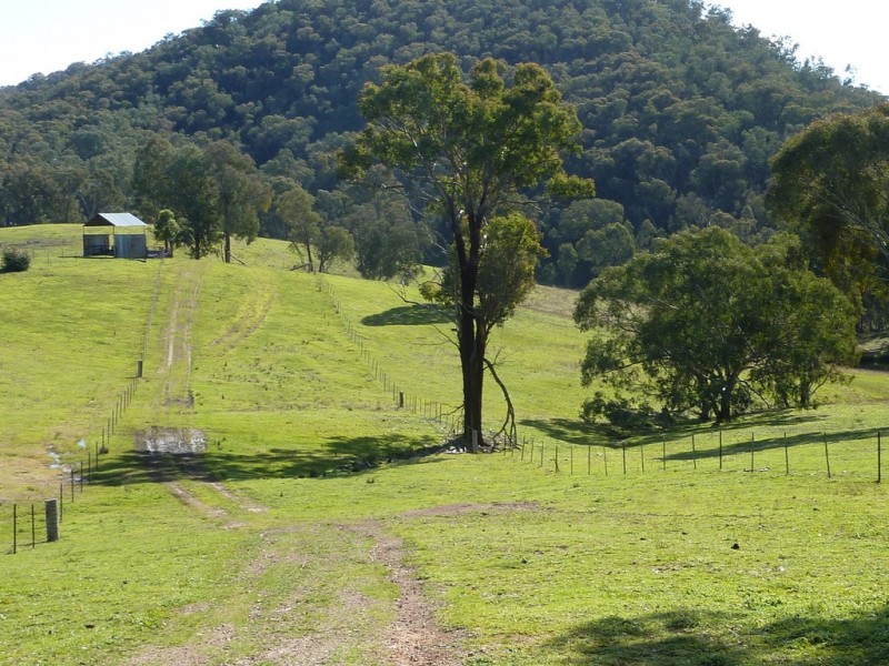 764 Linsells Road,, Humula NSW 2652