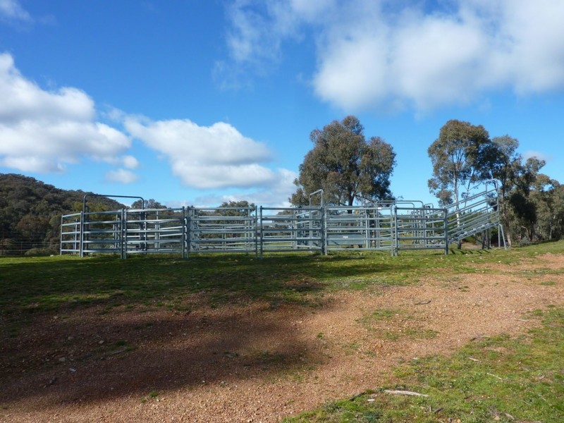764 Linsells Road,, Humula NSW 2652