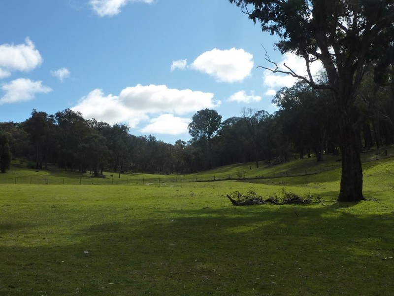 764 Linsells Road,, Humula NSW 2652