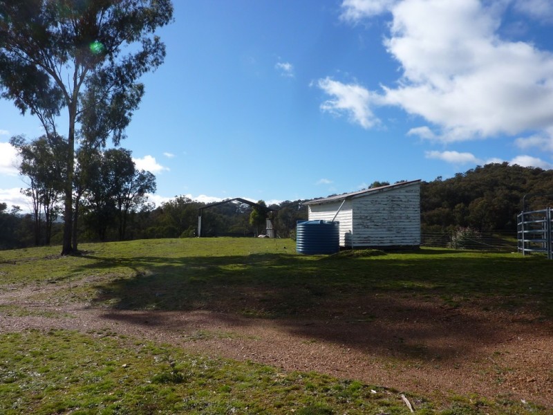 764 Linsells Road,, Humula NSW 2652