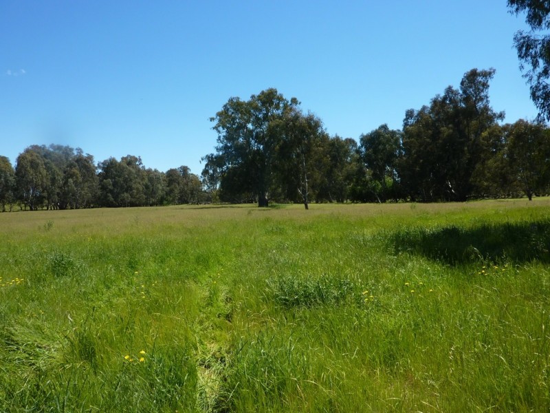 490 Nugents Road, HUMULA via, Wagga Wagga NSW 2650