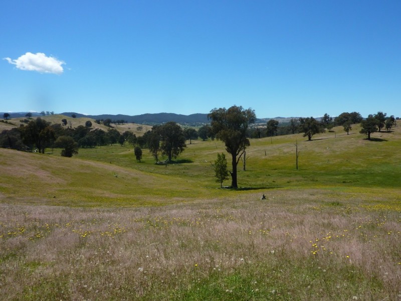 490 Nugents Road, HUMULA via, Wagga Wagga NSW 2650