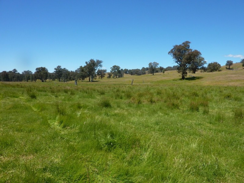 490 Nugents Road, HUMULA via, Wagga Wagga NSW 2650