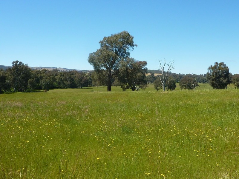 490 Nugents Road, HUMULA via, Wagga Wagga NSW 2650