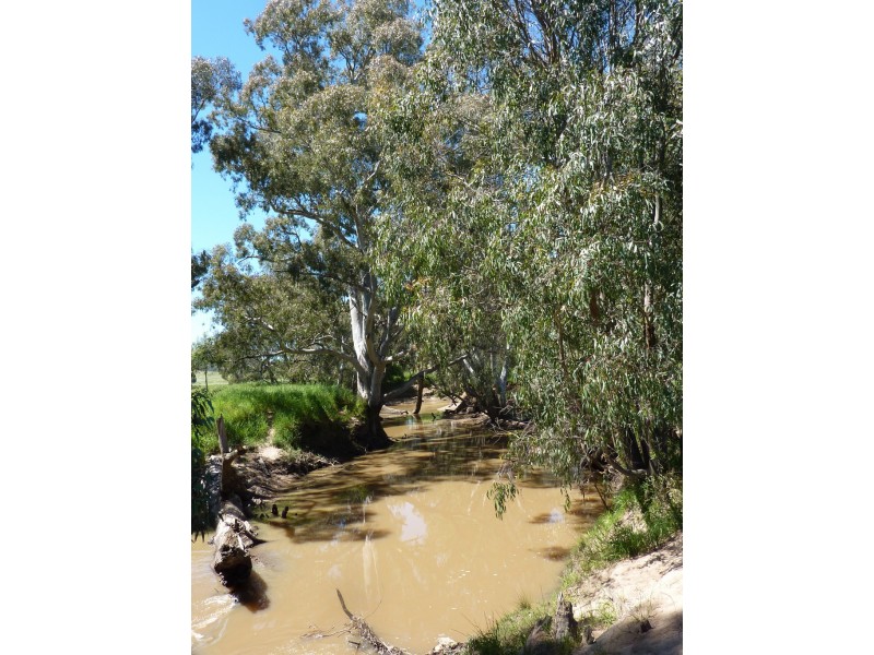 490 Nugents Road, HUMULA via, Wagga Wagga NSW 2650