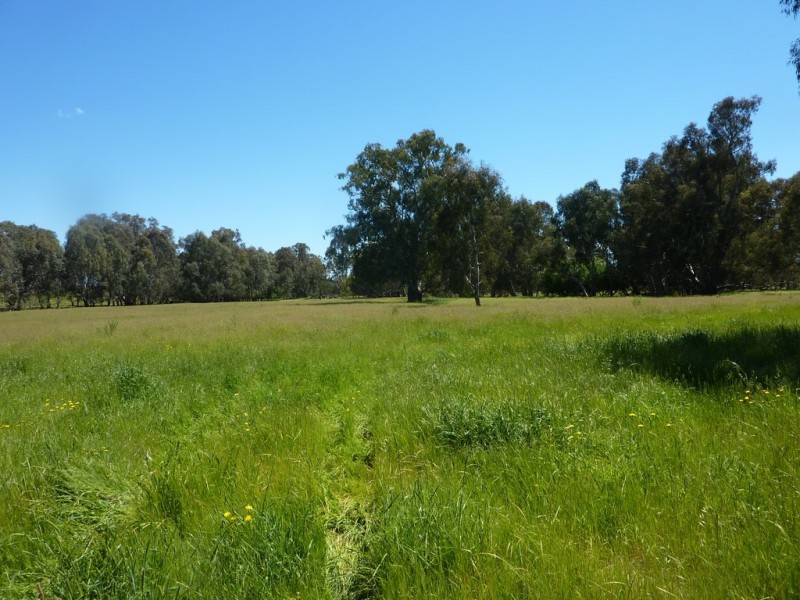 490 Nugents Road, HUMULA via, Wagga Wagga NSW 2650