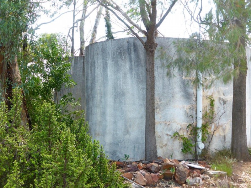 Farm 557 Fiveborough Rd, Leeton NSW 2705