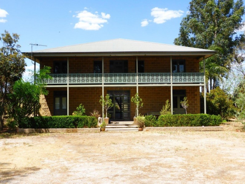 Farm 557 Fiveborough Rd, Leeton NSW 2705