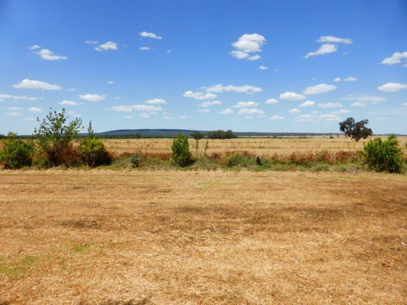 Farm 557 Fiveborough Rd, Leeton NSW 2705