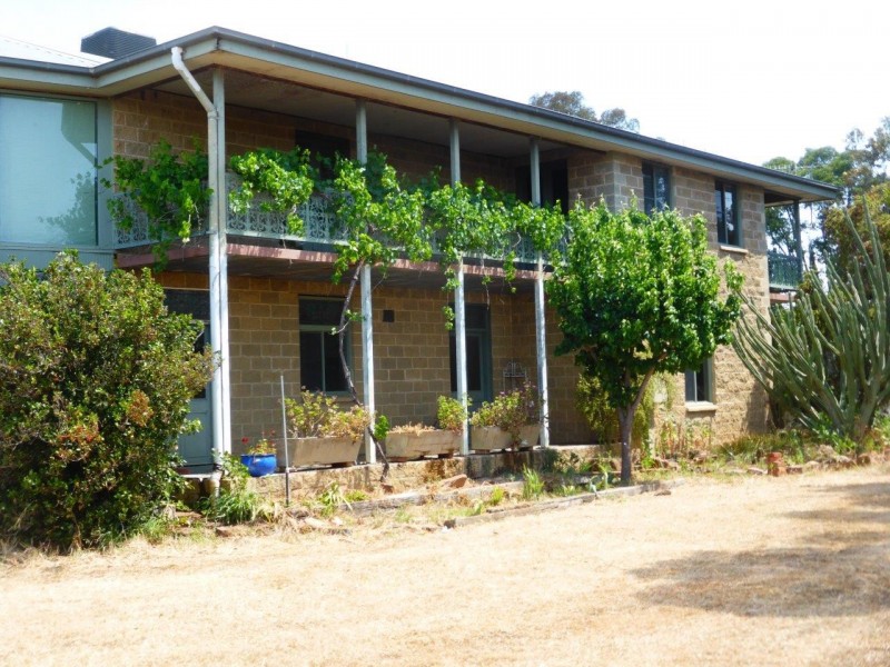 Farm 557 Fiveborough Rd, Leeton NSW 2705