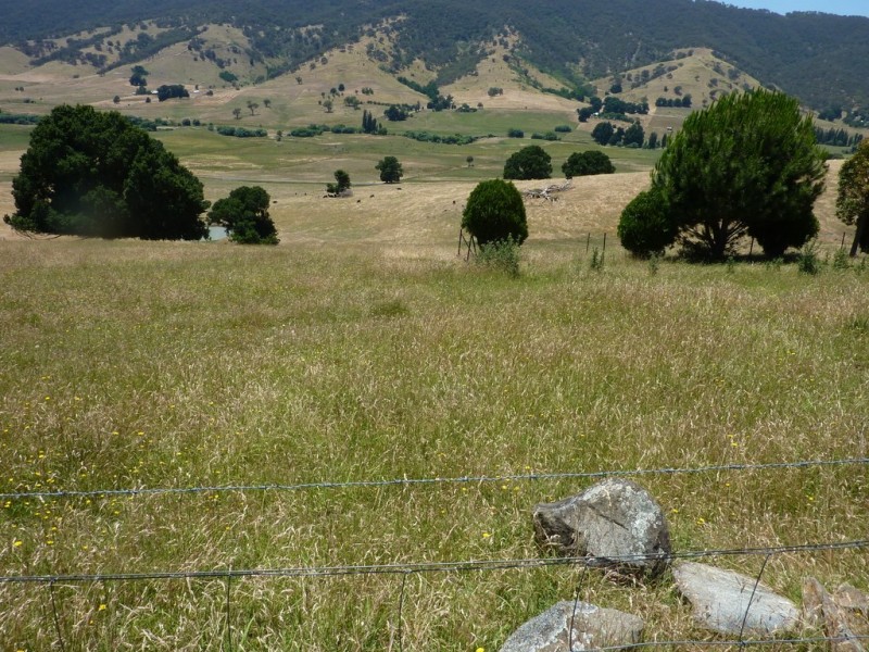 270 West Gilmore Road, Tumut NSW 2720