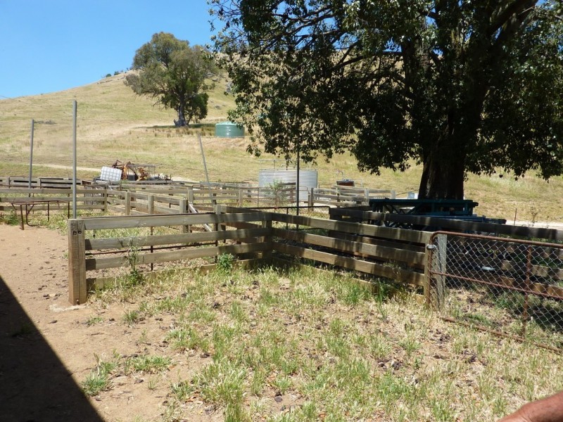 270 West Gilmore Road, Tumut NSW 2720