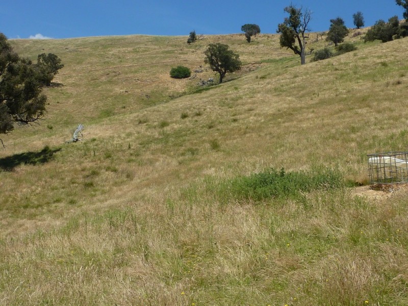 270 West Gilmore Road, Tumut NSW 2720