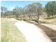 000 Albert Street, Reids Flat NSW 2586