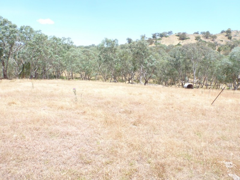 000 Albert Street, Reids Flat NSW 2586