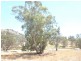 000 Albert Street, Reids Flat NSW 2586