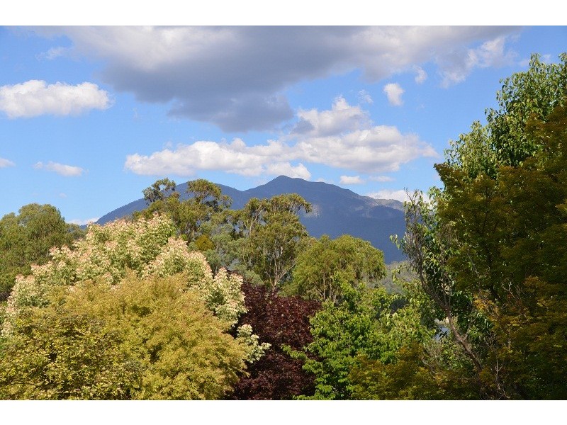 4 Stewarts Road, Tawonga South VIC 3698