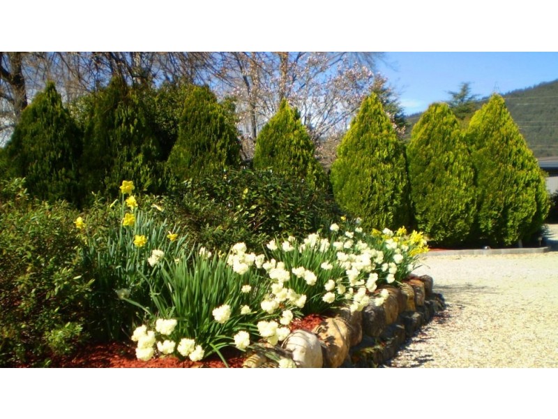 6/2-4 Gavan Street, Bright VIC 3741