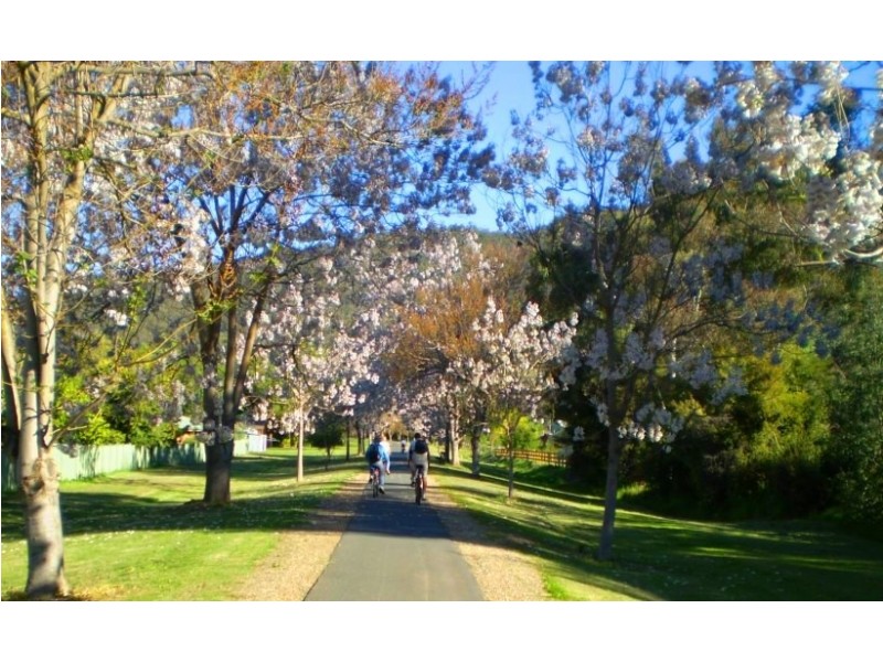 6/2-4 Gavan Street, Bright VIC 3741