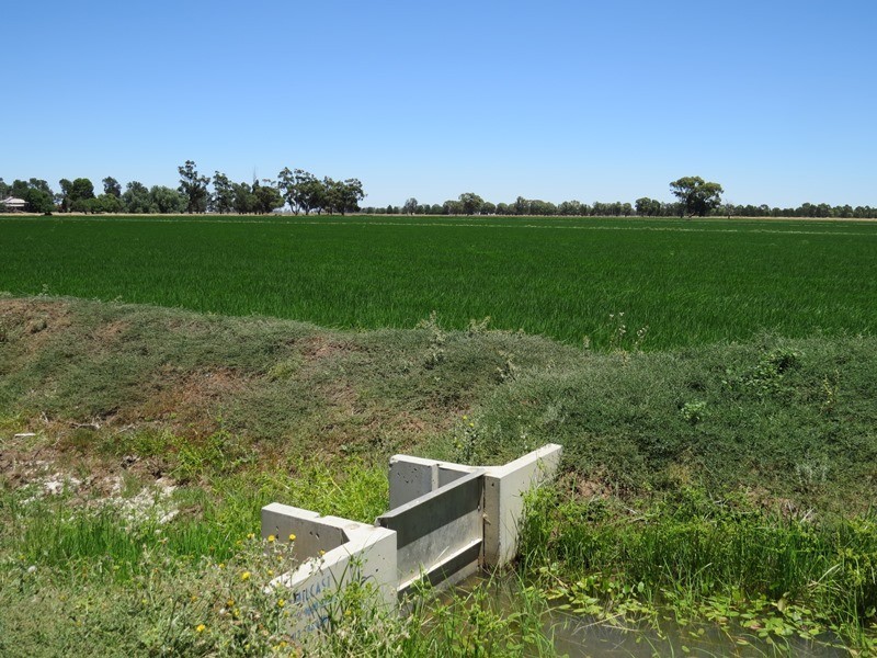 “Woodlands” Hayfield Road, Finley NSW 2713