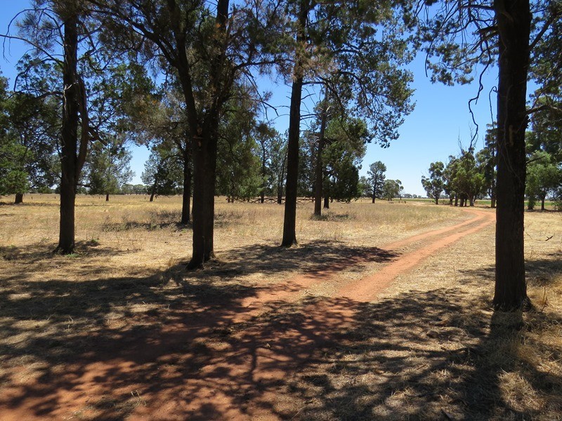 “Woodlands” Hayfield Road, Finley NSW 2713