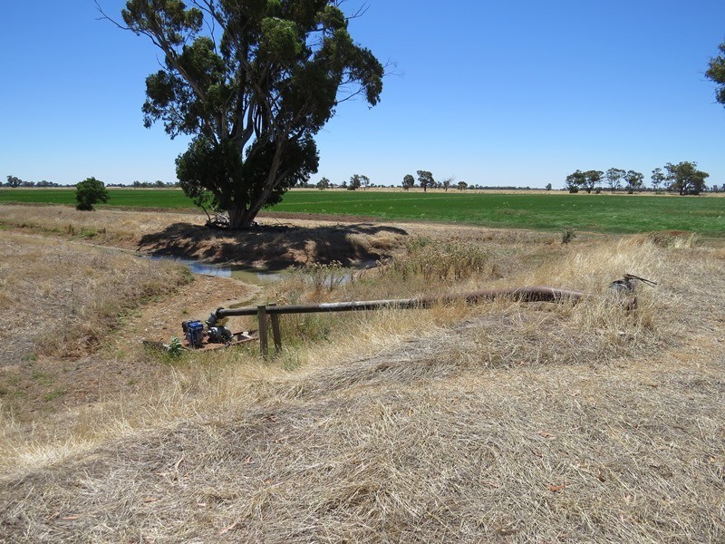 “Woodlands” Hayfield Road, Finley NSW 2713