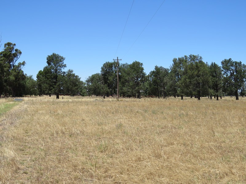 “Woodlands” Hayfield Road, Finley NSW 2713