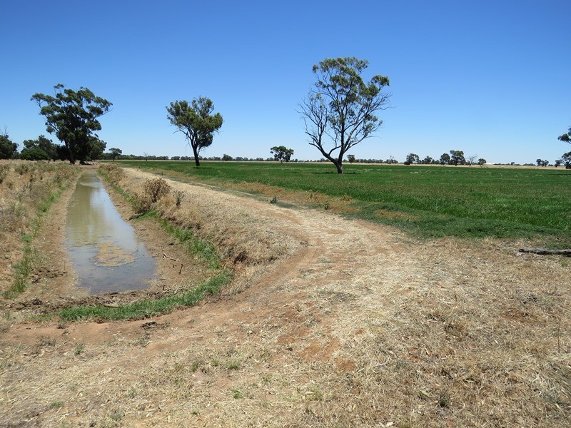 “Woodlands” Hayfield Road, Finley NSW 2713