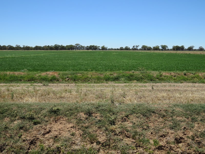 “Woodlands” Hayfield Road, Finley NSW 2713