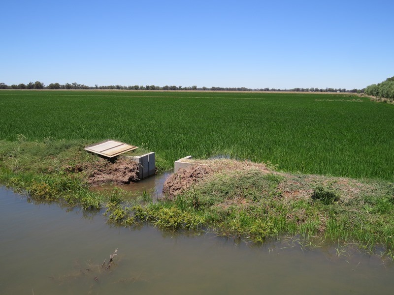 “Woodlands” Hayfield Road, Finley NSW 2713