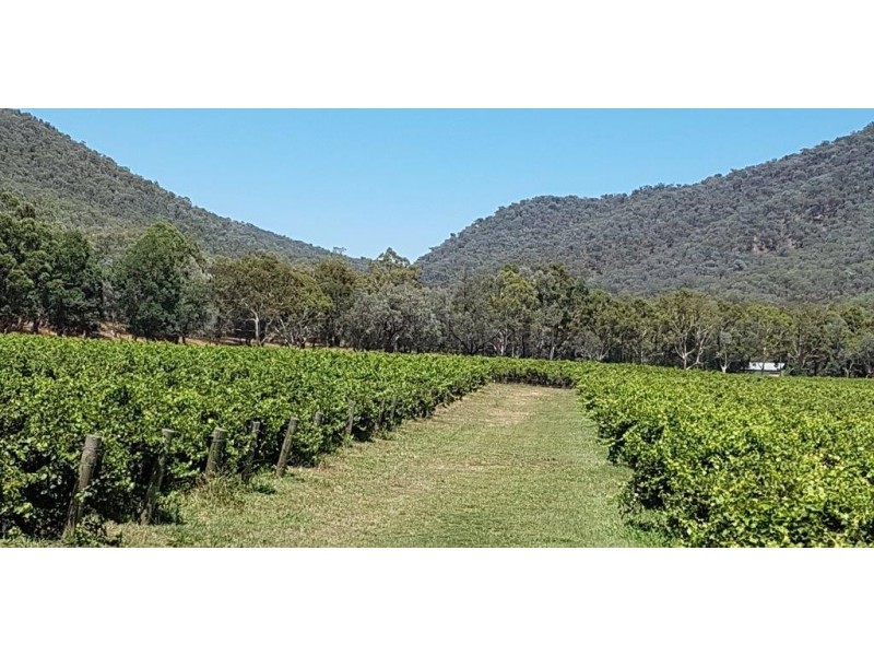 8792 Murray River Road, Walwa VIC 3709