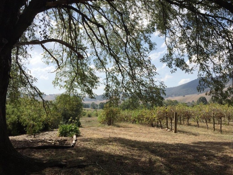 8792 Murray River Road, Walwa VIC 3709